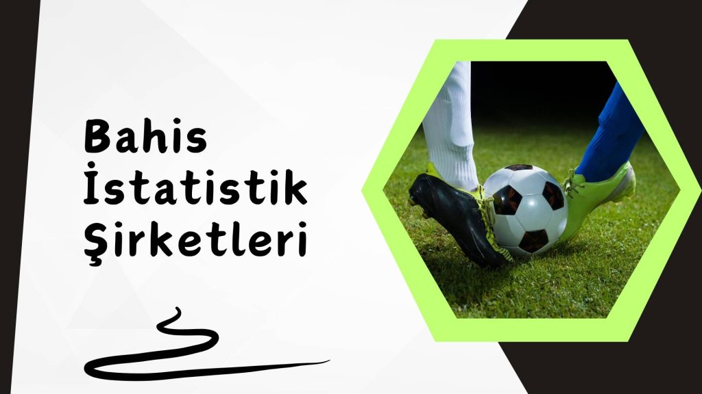 Türkiye Özel Bahis istatistik Şirketleri Dijital Haritası